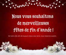 Nous vous souhaitons de Joyeuses Fêtes...